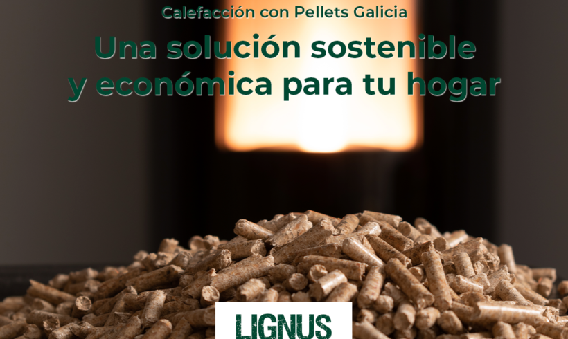 Calefacción con pellets Galicia: una solución sostenible y económica para tu hogar